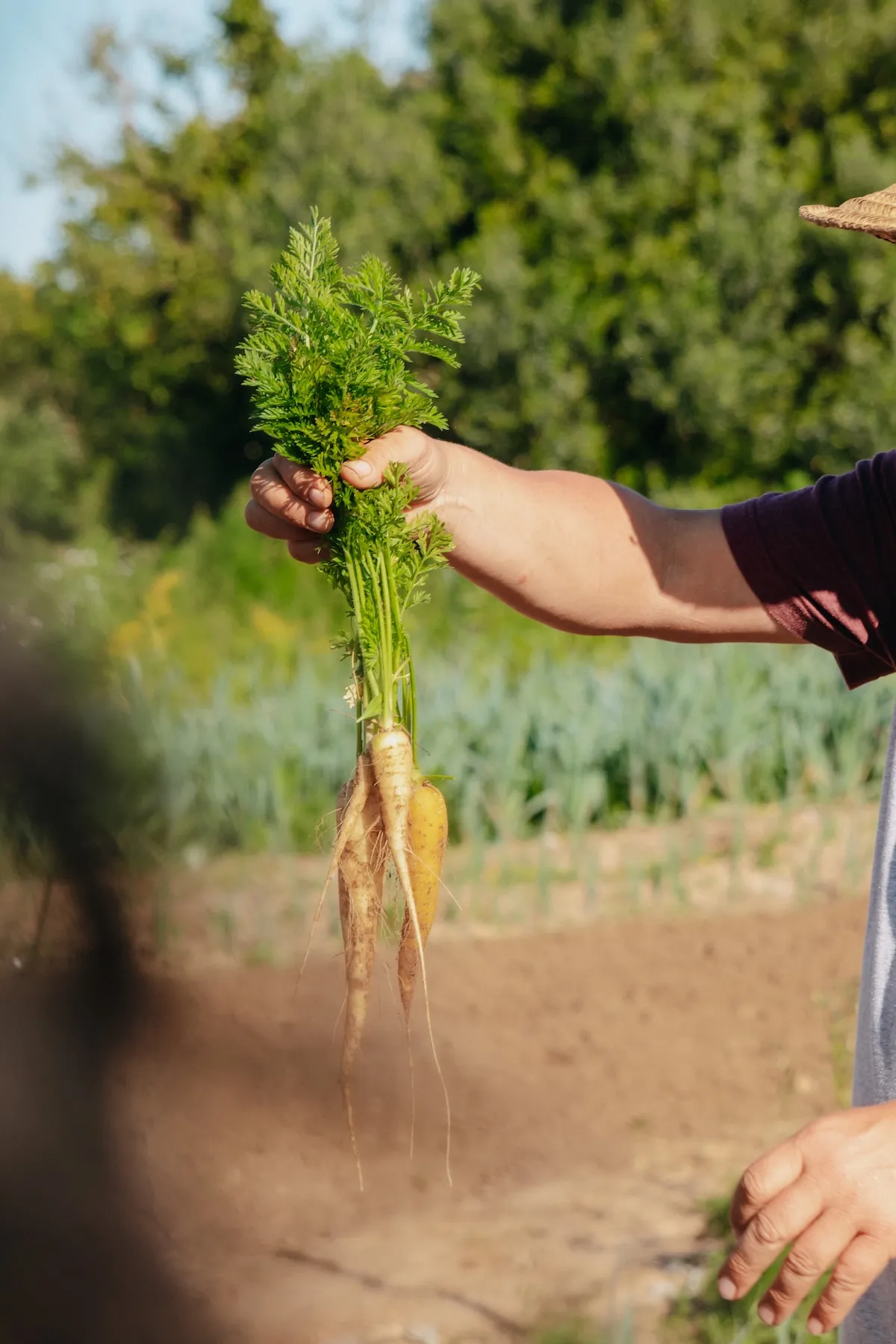 Retiro Caños de Meca48